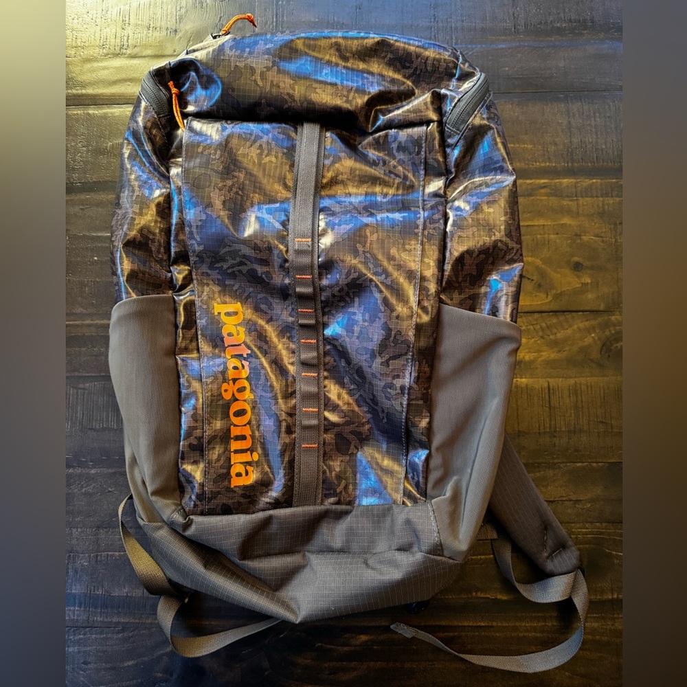 Patagonia Black Hole 25L Backpack